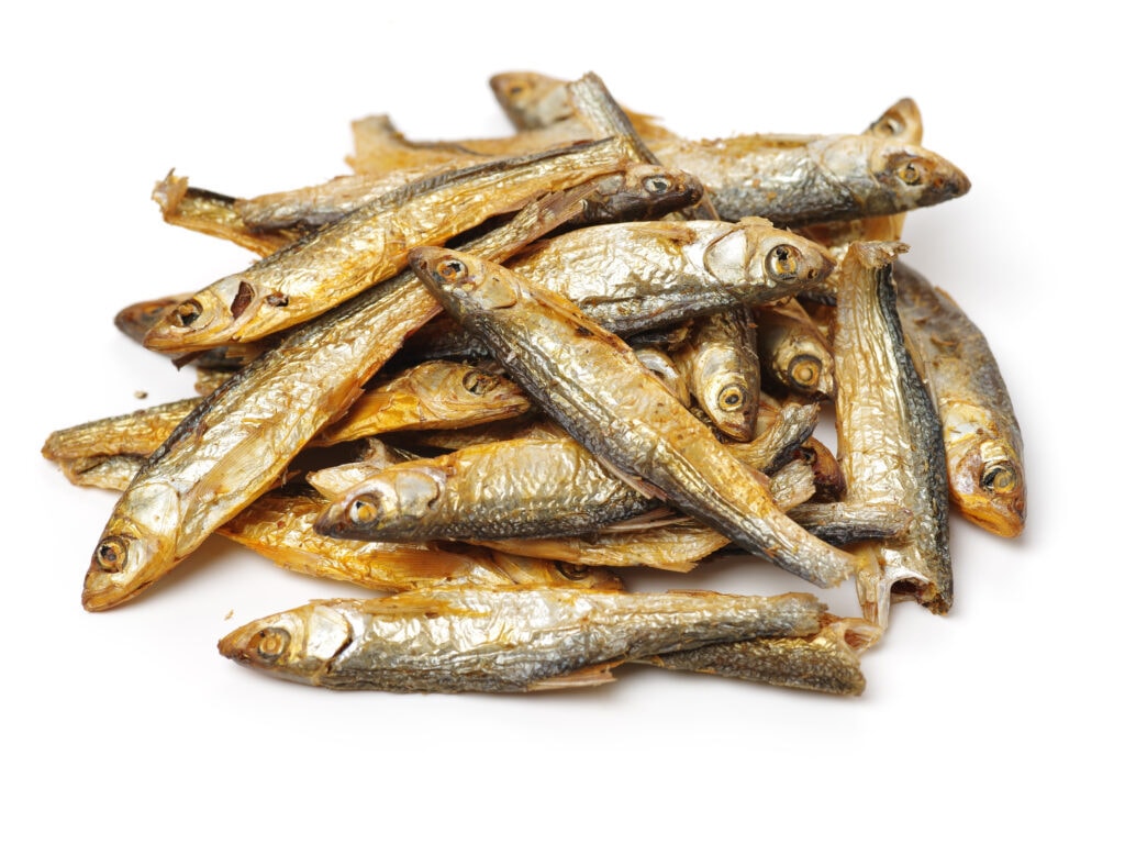 an example of dried sprats, these can be a wonderful alternative to chicken or other proteins, they're definitely some dog's high value treats!