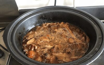 Puppy Super Food! Bone Broth Recipe For Puppies and 6 Tips To Make It Your Own