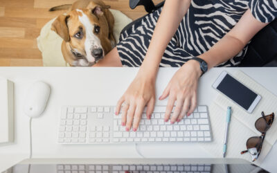Why Velcro Dogs Need Independence
