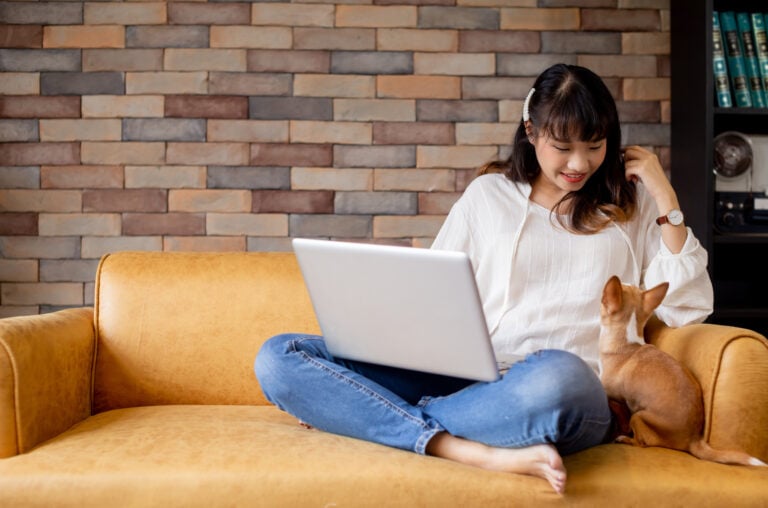 Does Online Puppy Or Dog Training Work? A Professional Insight