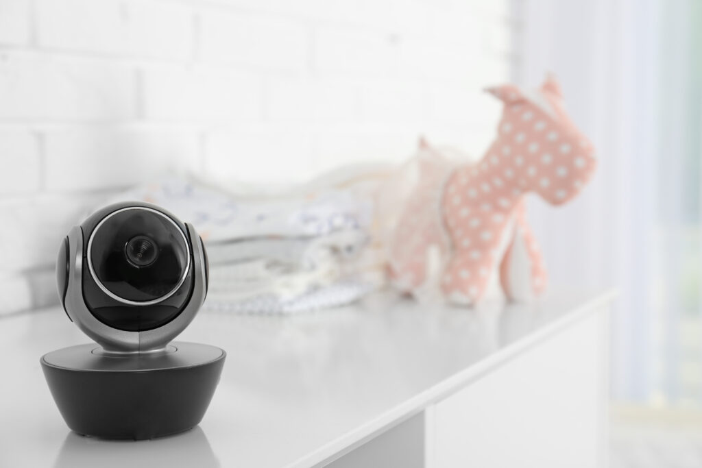 puppy monitoring camera for when you're leaving puppy alone