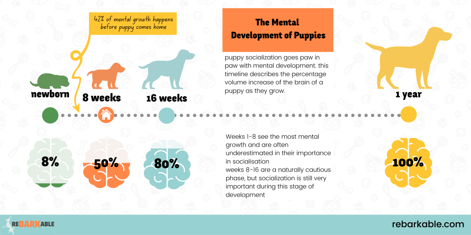 Rebarkable's Mental Development Of Puppies and it's pertinents to puppy socialization socialize