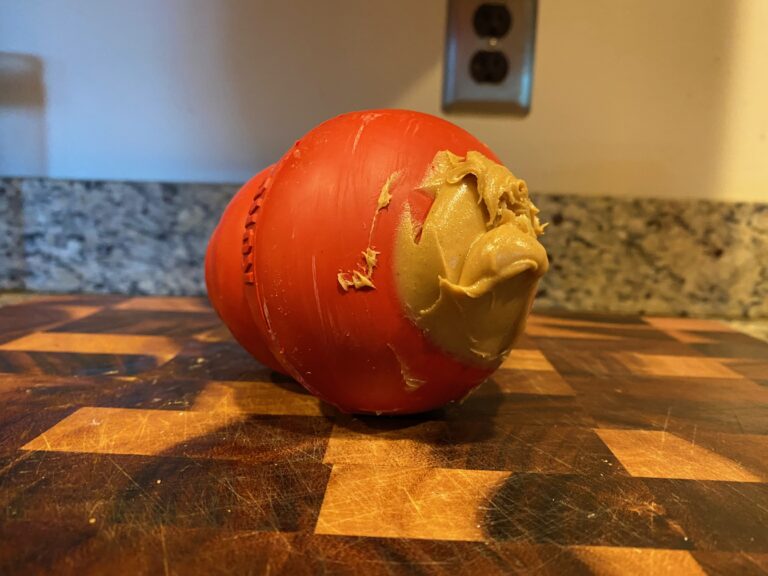 How To Use A Kong For Your Puppy (Including 46 Delicious Filling Suggestions!)