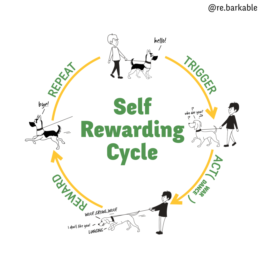 Reactivity cycle of self reward