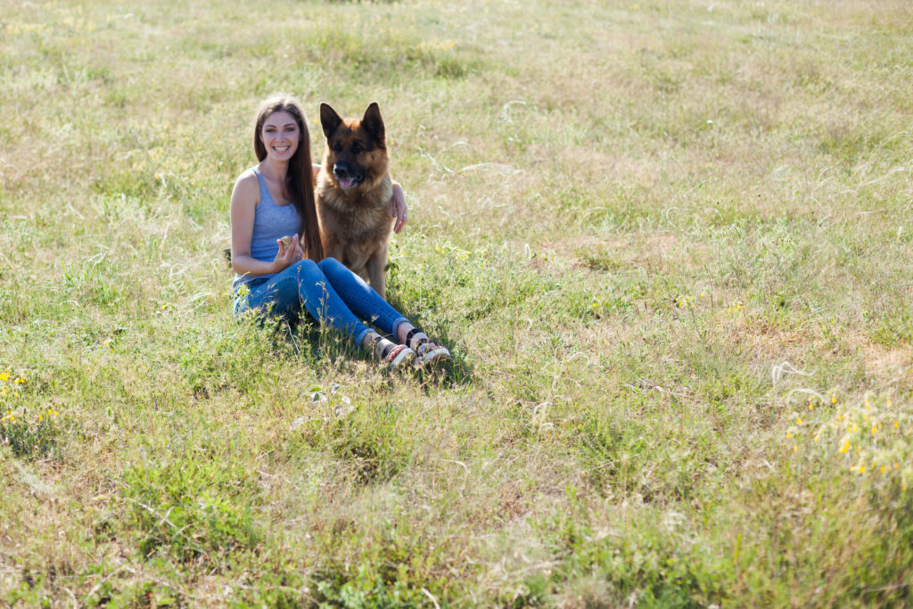 de-stress with your dog in a secure field and remember what you love about them - it's good for you both