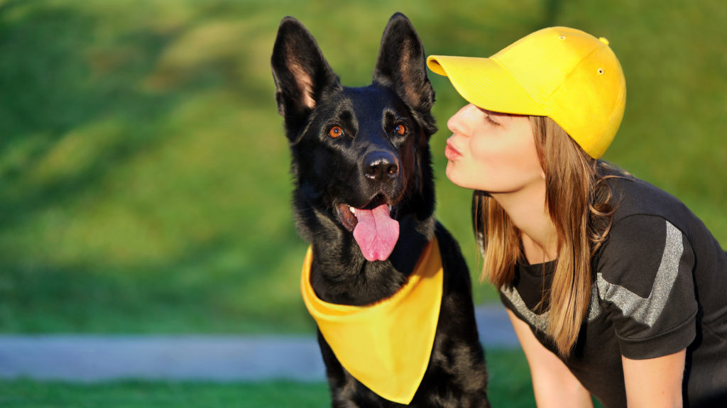 yellow bandanas for nervous dogs can highlight a nervous or anxious dog who may need space