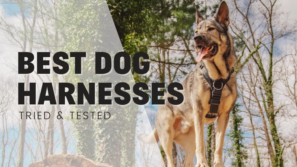 Best Dog Harnesses 2022 honest unbiased reviews and comparisons ruffwear perfect fit kurgo true love
