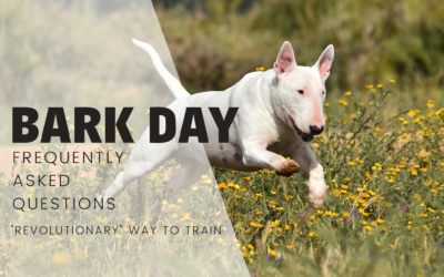 Bark Day FAQ’s