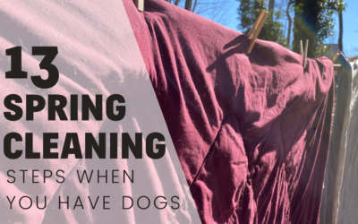 13 Things To Remember When Spring Cleaning Your Home With Dogs