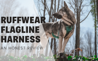 Ruffwear Flagline Dog Harness – An Honest Review