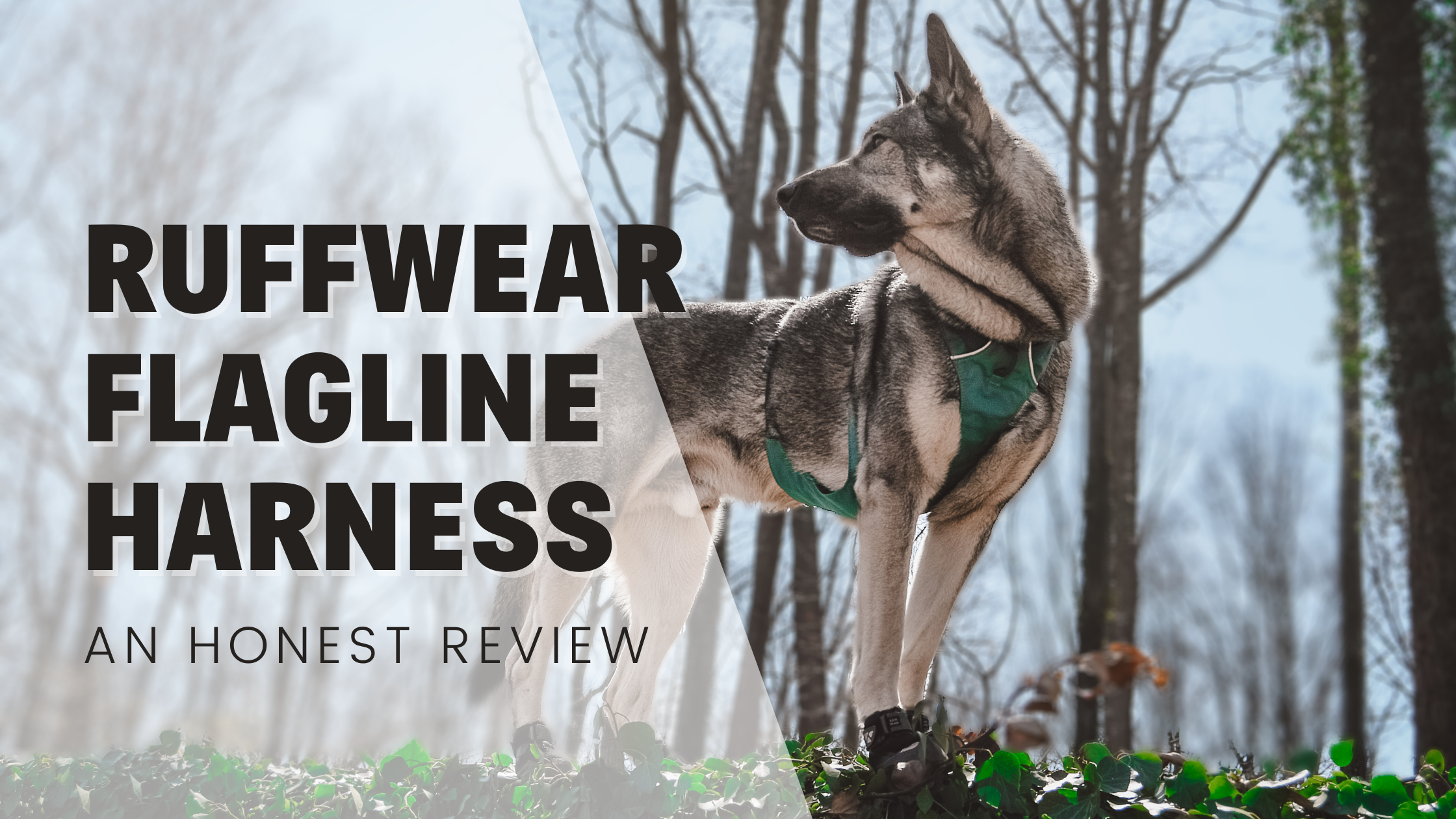 RUFFWEAR Flagline Lightweight Multi-Purpose Harness for Dogs