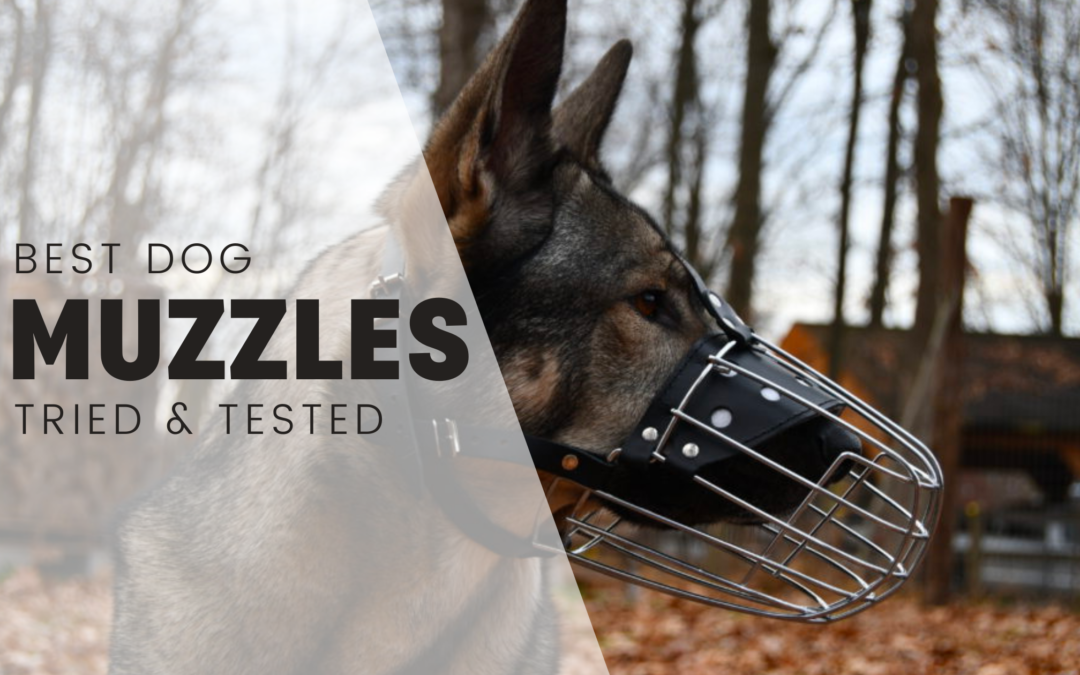Rebarkable Recommends: Dog Muzzles
