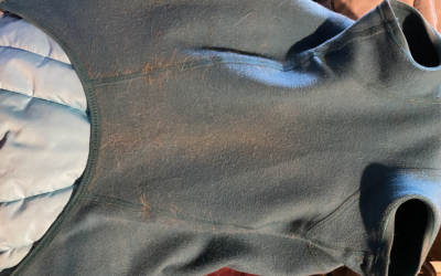 The Ruffwear Powder Hound – An Honest Review