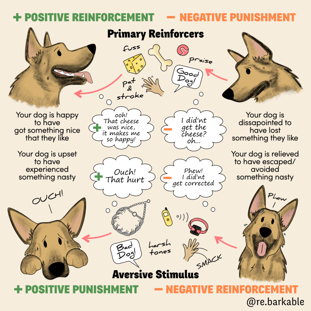 These are the "quadrants of operant conditioning" that exist within dog training, with Positive reinforcement, negative punishment, positive punishment and negative reinforcement