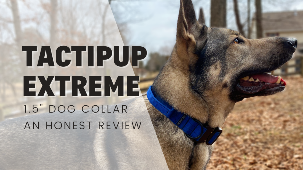 Tactipup extreme dog collar tested reviewed trialed honest
