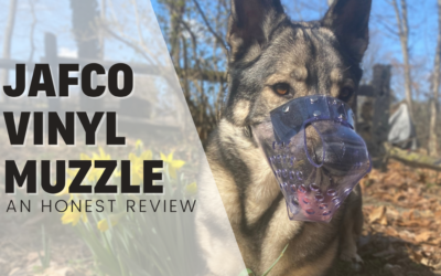 Jafco Two Strap Clear Vinyl Muzzle – An Honest Review