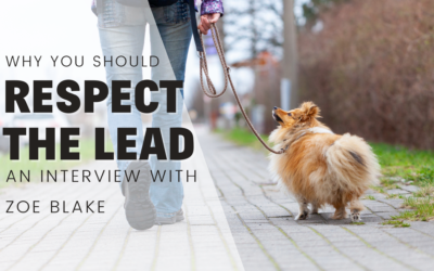 Why You Should Respect The Lead! An Interview With Zoe Blake