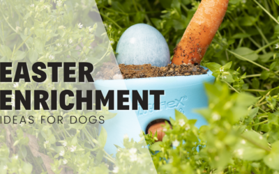 Easter Enrichment Ideas For Dogs