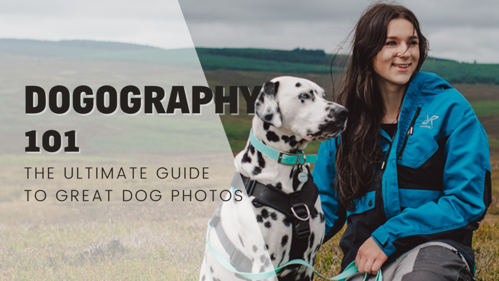 Lorren and Loki of polka dot loki on instagram feature as our producers of the Dogography 101 guide!