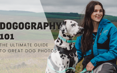 Dogography 101 – The Ultimate Dog Photography Guide