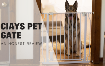 CIAYS Pet Gate For Dog Management – An Honest Review