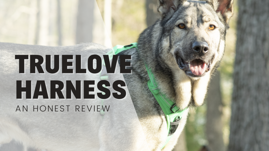 Truelove True love dog harness no pull review amazon