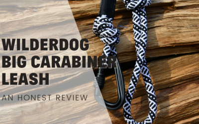Wilderdog Big Carabiner Leash – An Honest Review