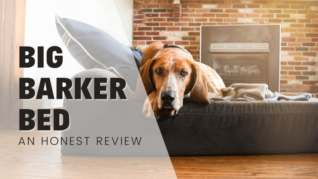 Big Barker Dog Bed Honest Review Ali Smith Rebarkable Best Lucy coonhound