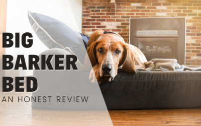 Big Barker Bed – An Honest Review