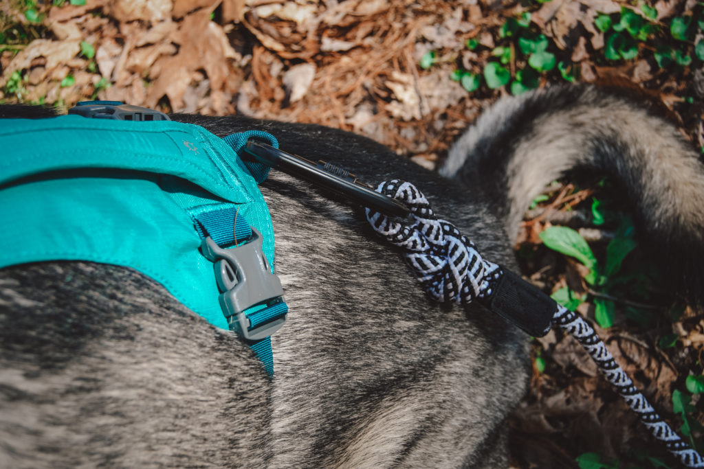 Ruffwear Flagline rear attachment point dog harness meltwater teal ruffwear review
