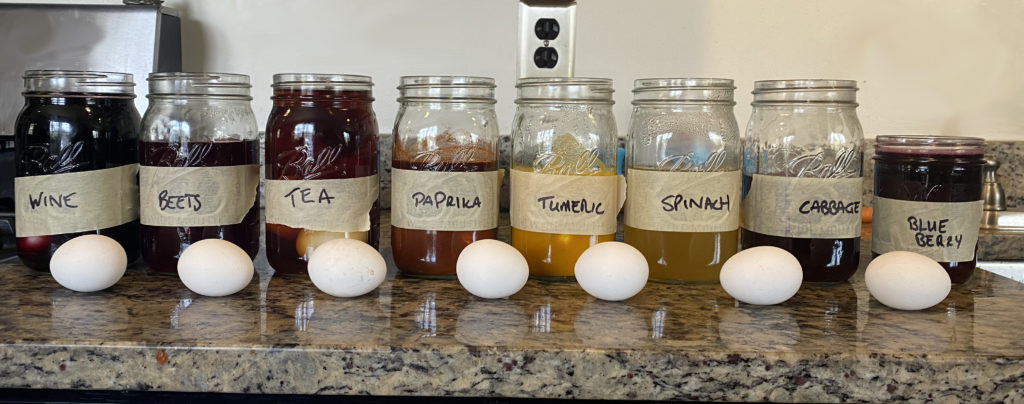 exploring natural food colourings for easter eggs for dogs different natural dyes shown in mason jars with white eggs in front