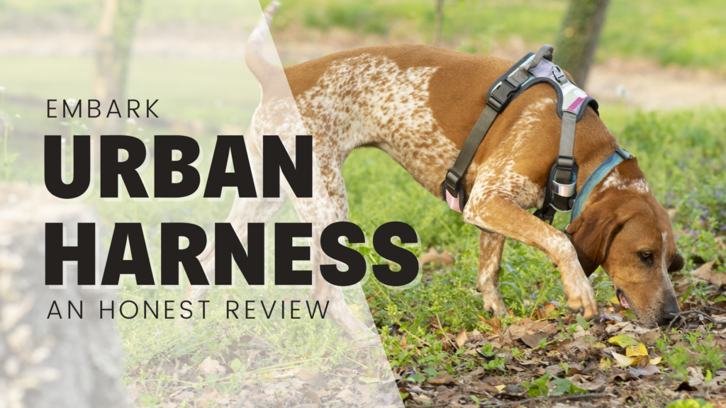 Embark urban harness review y shape harness on redtick coonhound honest review
