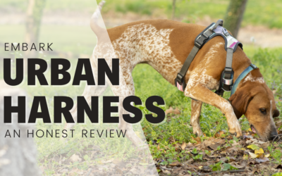 Embark Urban Harness for dogs – An Honest Review