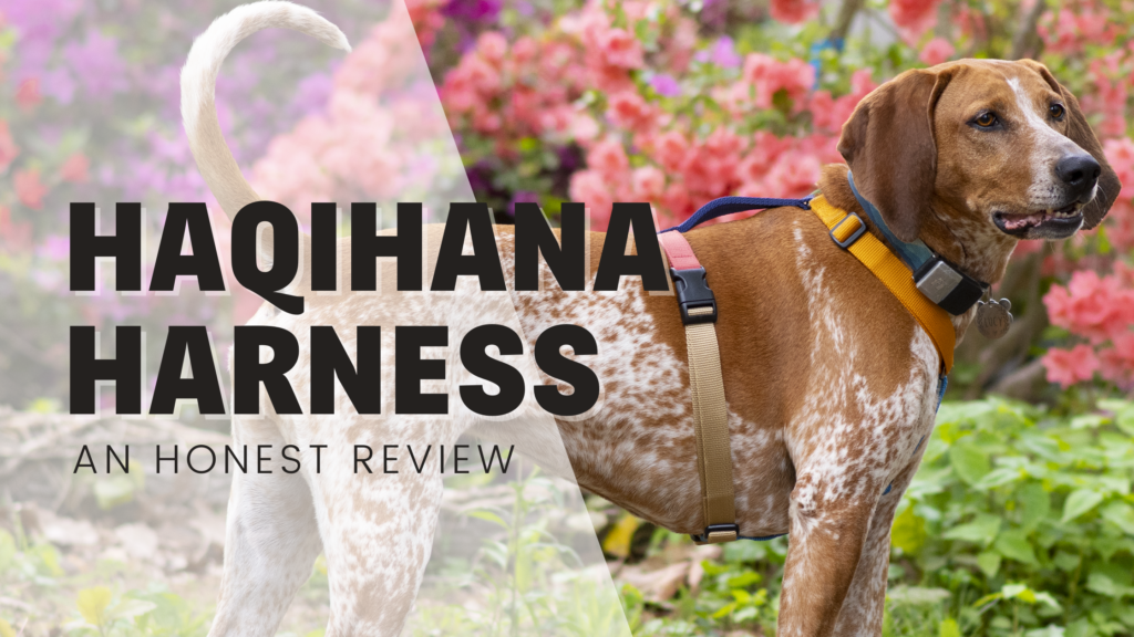 Haqihana harness dog review y shape rainbox bright colorful