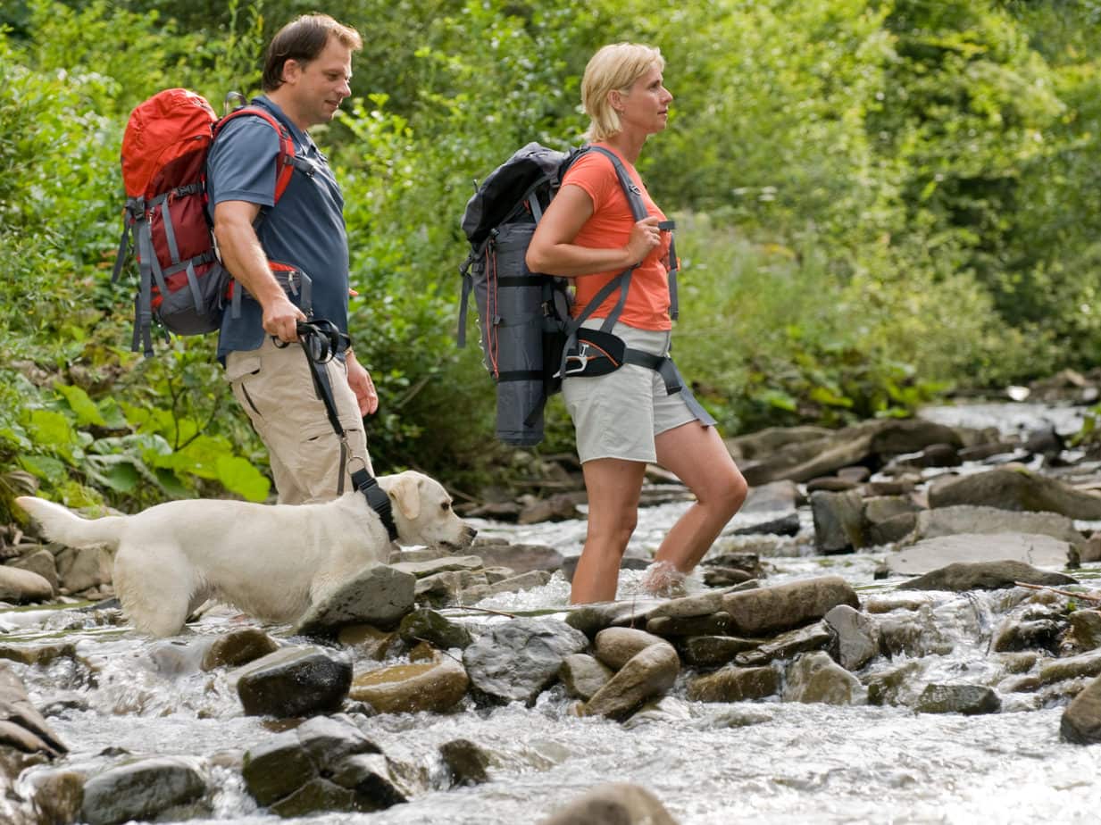 couple crossing streams whilst on a hike with their dog