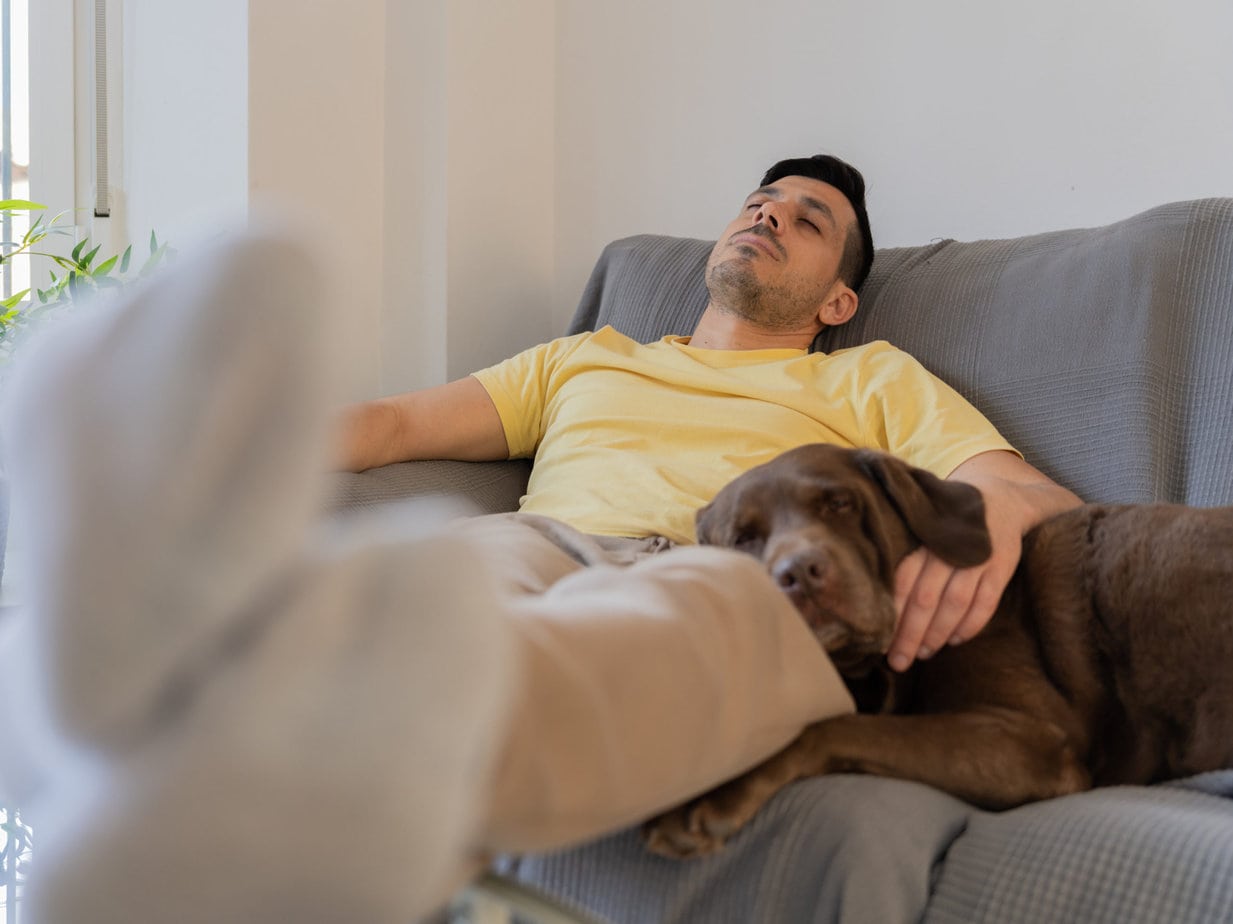 napping with your dog for fathers day sounds like just about the best activity