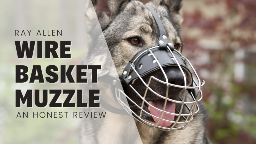 RAY ALLEN Manufacturing wire basket muzzle honest review german shepherd wearing muzzle