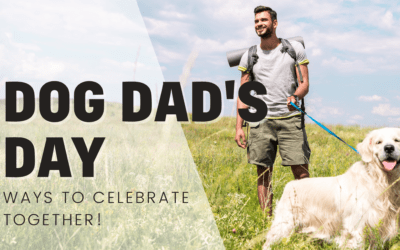 12 Ways To Celebrate Dog Dad’s Day!