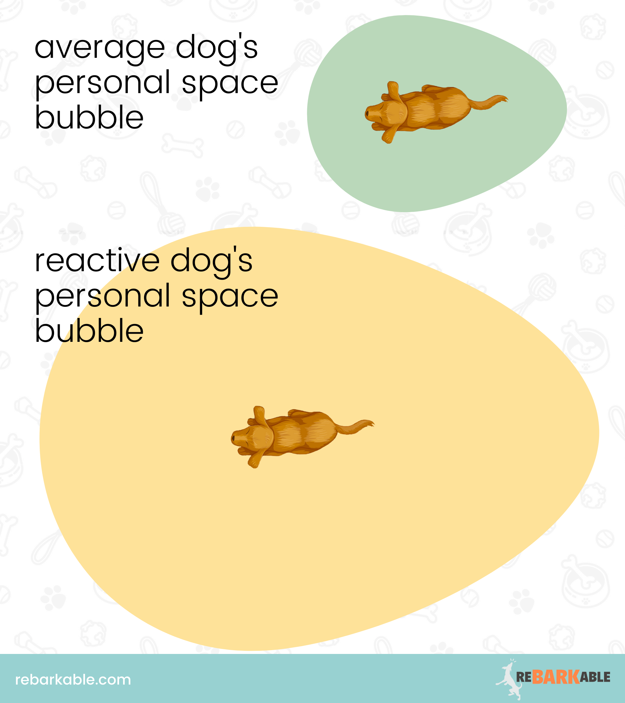 Personal space bubble for a reactive dog vs a normal dog