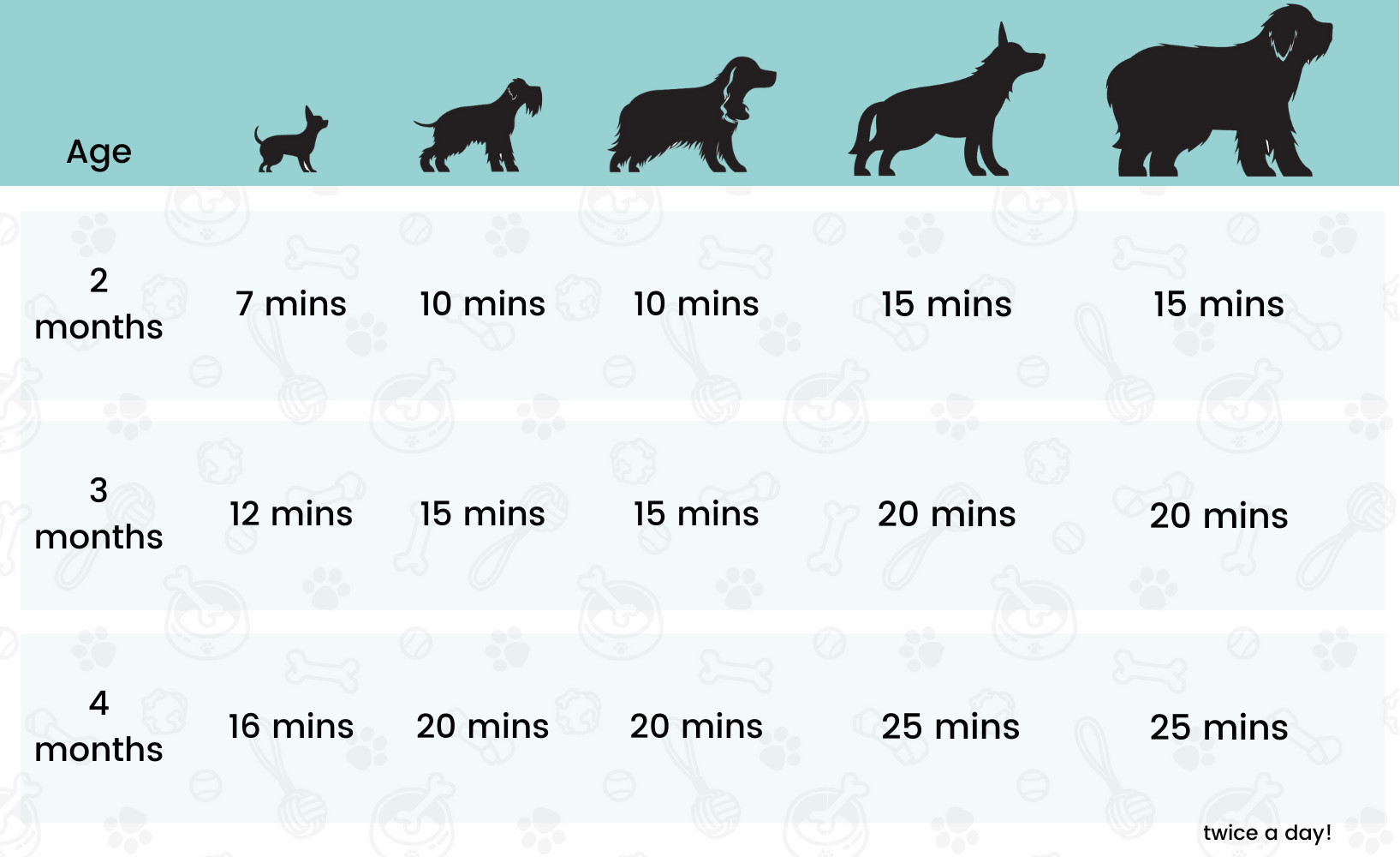 recommended walking times for puppies this is allowed twice a day!