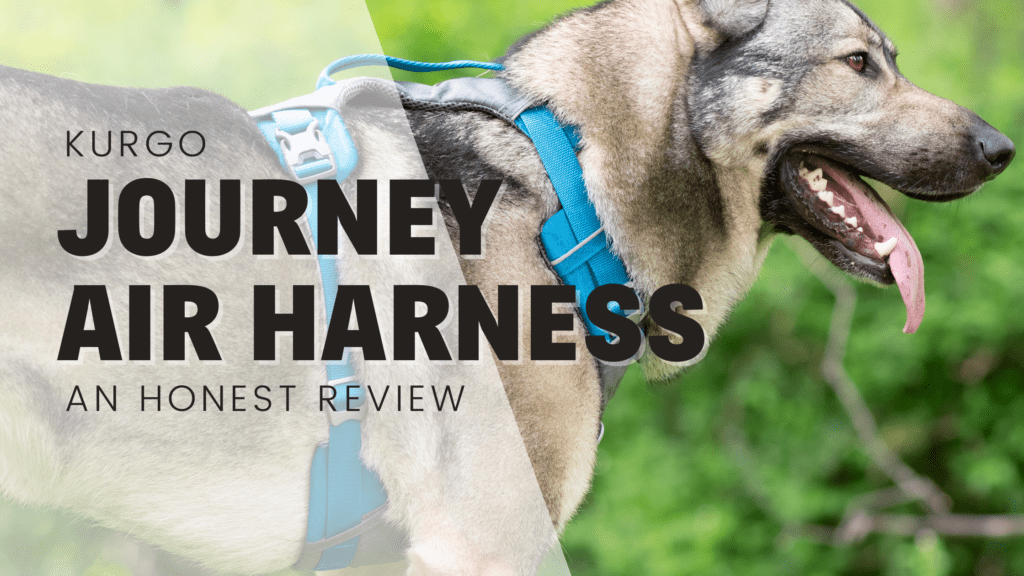 Kurgo journey air y shaped harness front attachment handle harness