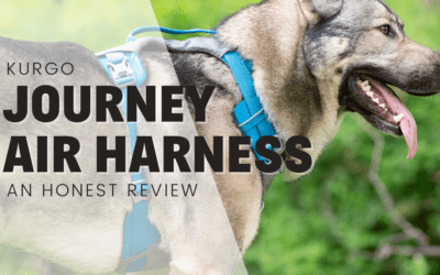 Kurgo Journey Air Dog Harness – An Honest Review