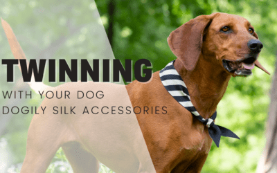 Twinning with your dog – 15 Of The Cutest Ideas With Your Dogily Accessories