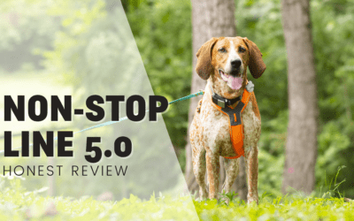 Non-stop Line Harness 5.0 – An Honest Review
