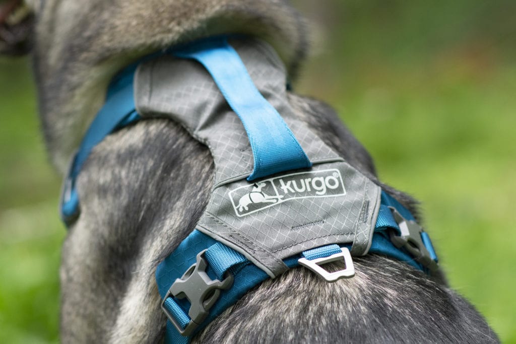 Kurgo air journey harness hardware and handle y shape two point harness on indie the german shepherd