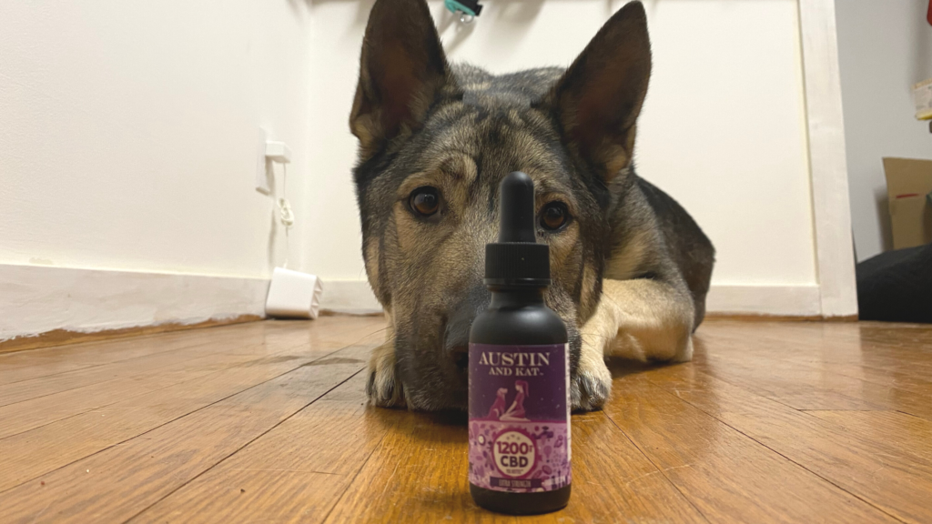 indie and the Austin & Kat CBD for dogs which can help with fireworks