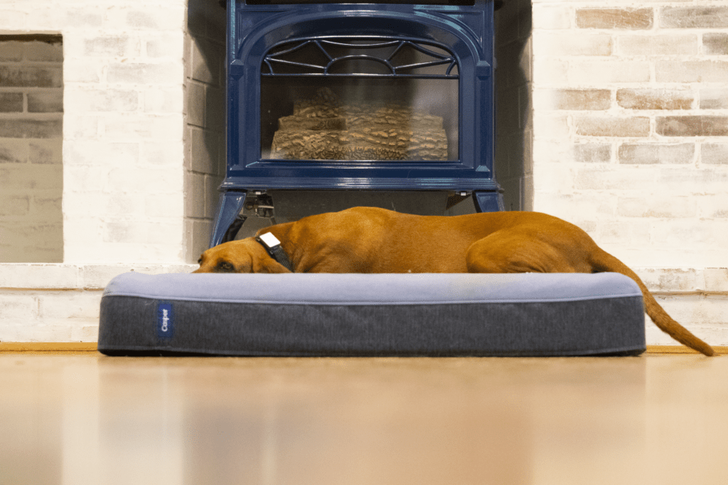 Deep bolsters on the casper dog bed means that your dog can find this super snuggly