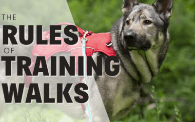 Rules For Group Training Walks