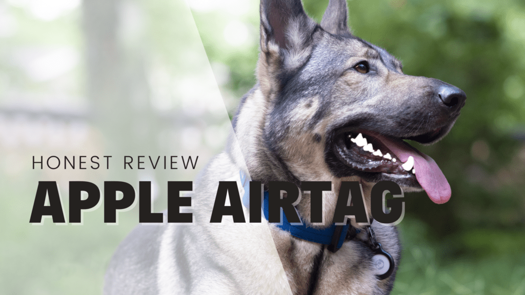 Apple Airtag as a dog tracker GPS locator