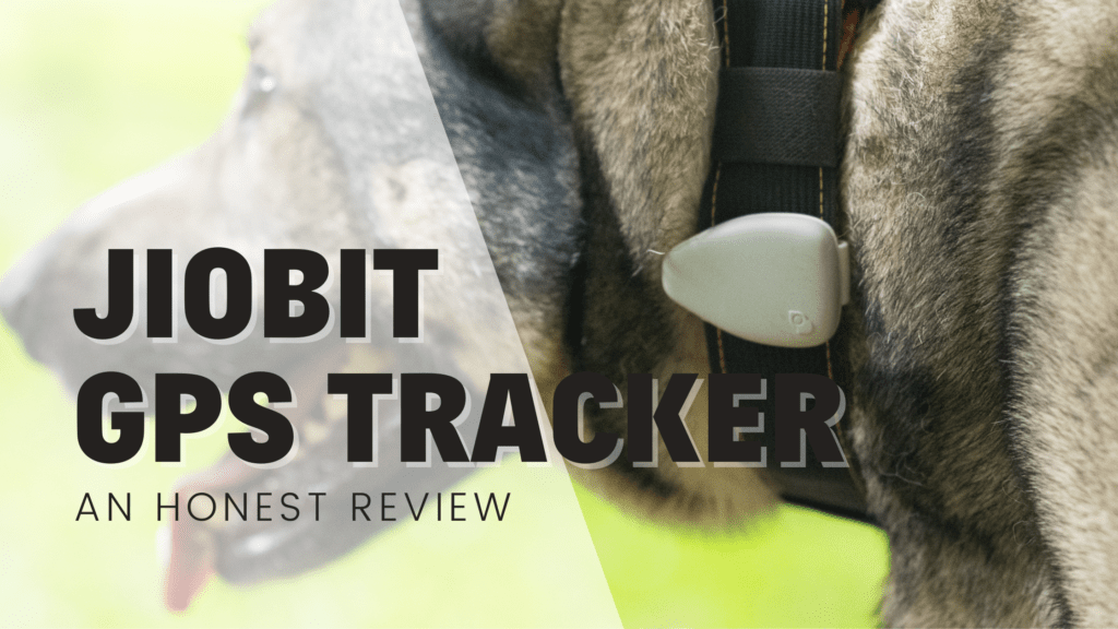 Jiobit dog tracker GPS reviewed honest review dogs
